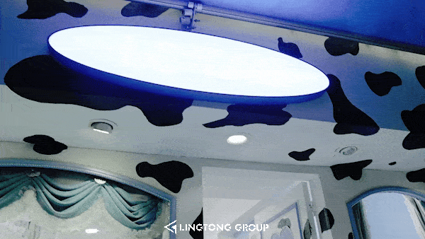 1663755162494864.gif 16594052078843567.gif