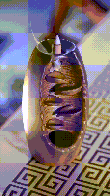 1664264483892237.gif 16637460109897690.gif