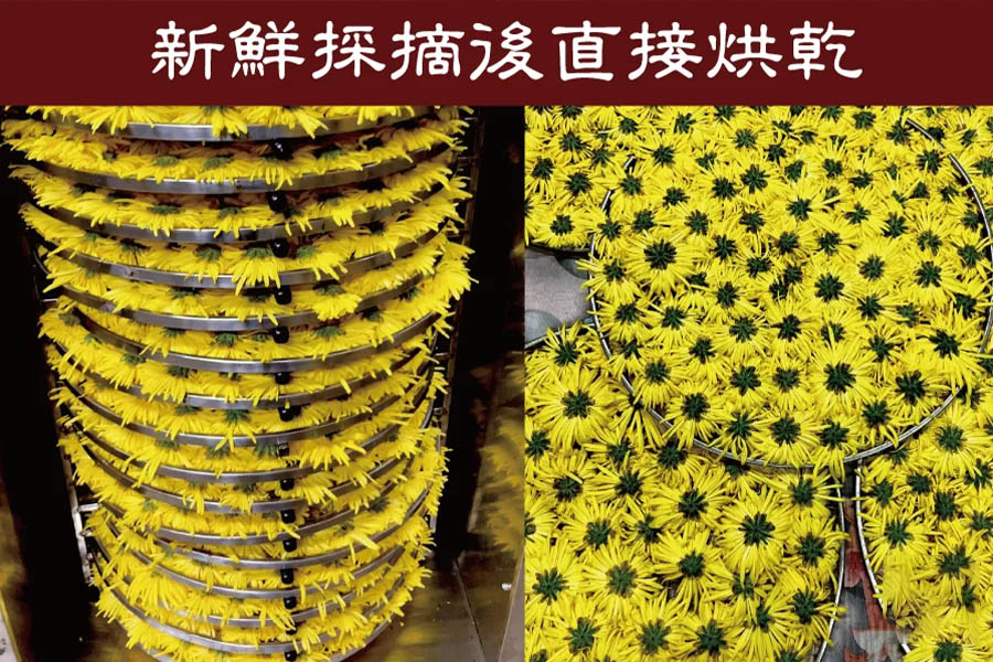 1683212256380139.png 291e096d3b8cf73253184e95ca9590d.png