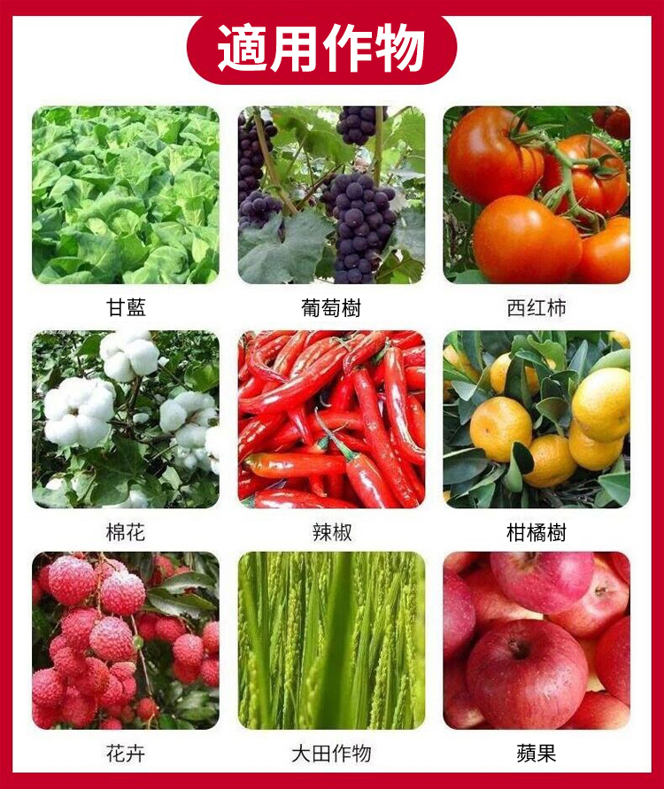 1733293266479866.jpg 2749992acde01389c327fca0c71ce142.jpg