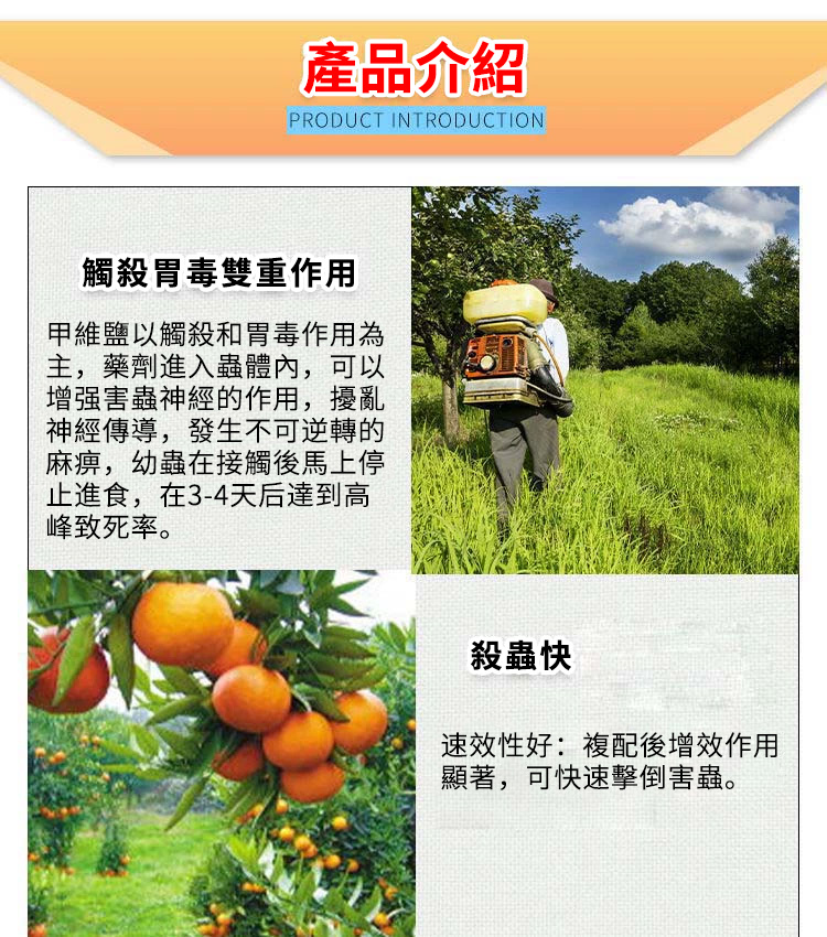 1733293286235557.jpg 61e3e1e6545894da25af5c30e047b8c2.jpg