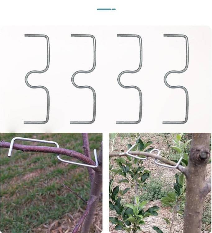 1733402497700292.jpg f0564fd2fdcf4092b0a83787ca509bf0.jpg