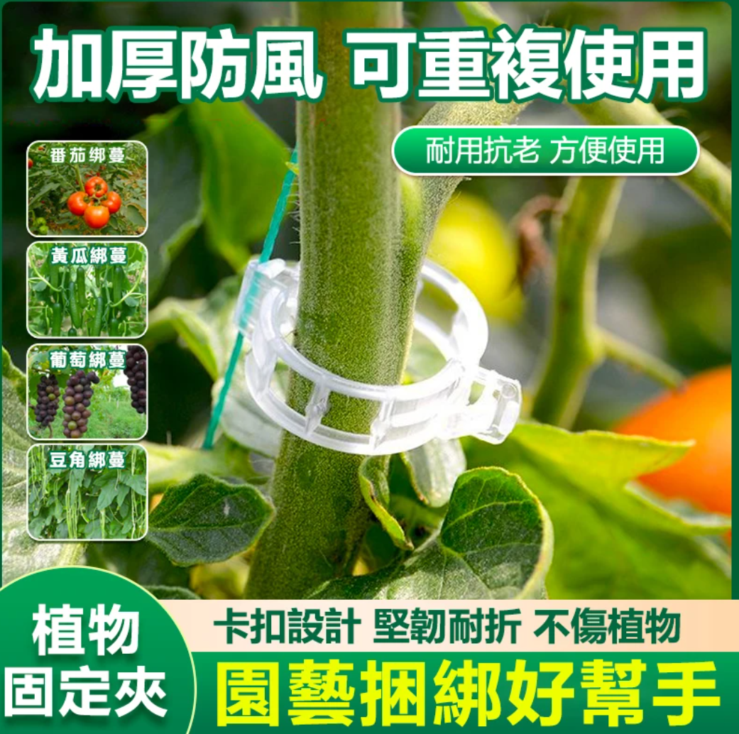 【綠植固定架】小東西大用處,不用在用繩綁了,菜園花園都能用,一卡一扣輕鬆固定梆枝,拆下還能重複使用 【綠植固定架】小東西大用處,不用在用繩綁了,菜園花園都能用,一卡一扣輕鬆固定梆枝,拆下還能重複使用