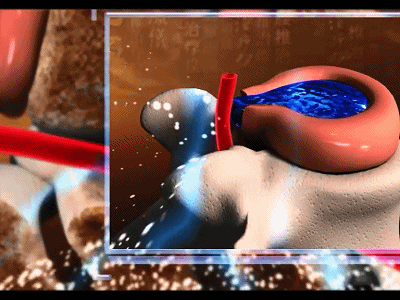 1755621116341468.gif d6be7e36c9f9506da64d6c0ddb423ee5.gif